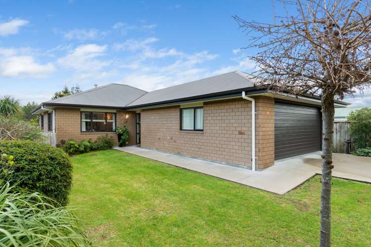 8c Church Street Katikati_2