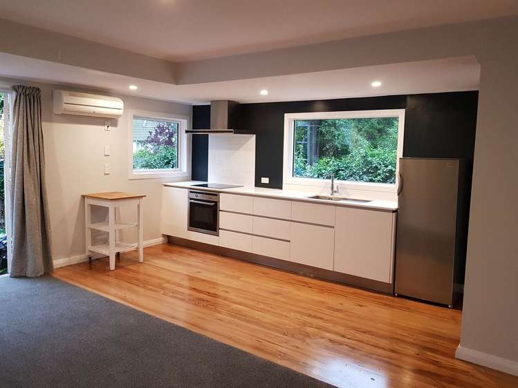 32 Chambers St North Dunedin_1