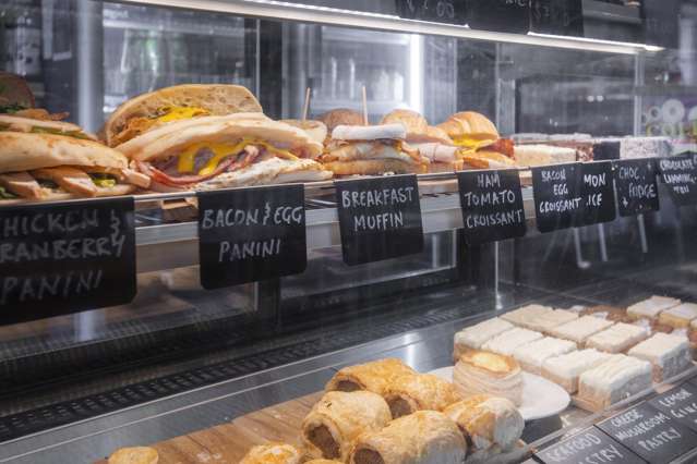 184 Childers Rd Gisborne Central_4