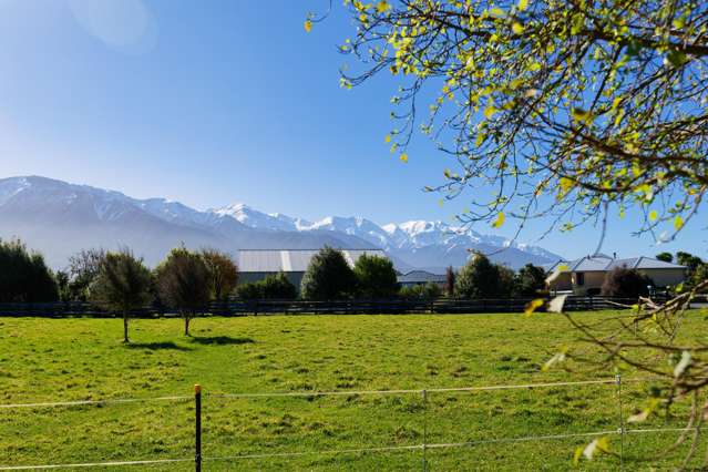 238a Mt Fyffe Road Kaikoura_1
