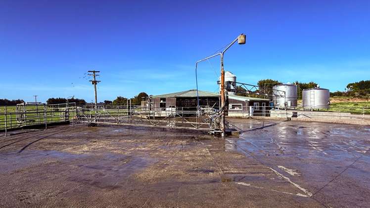 81 Tapper Road Mokotua_7