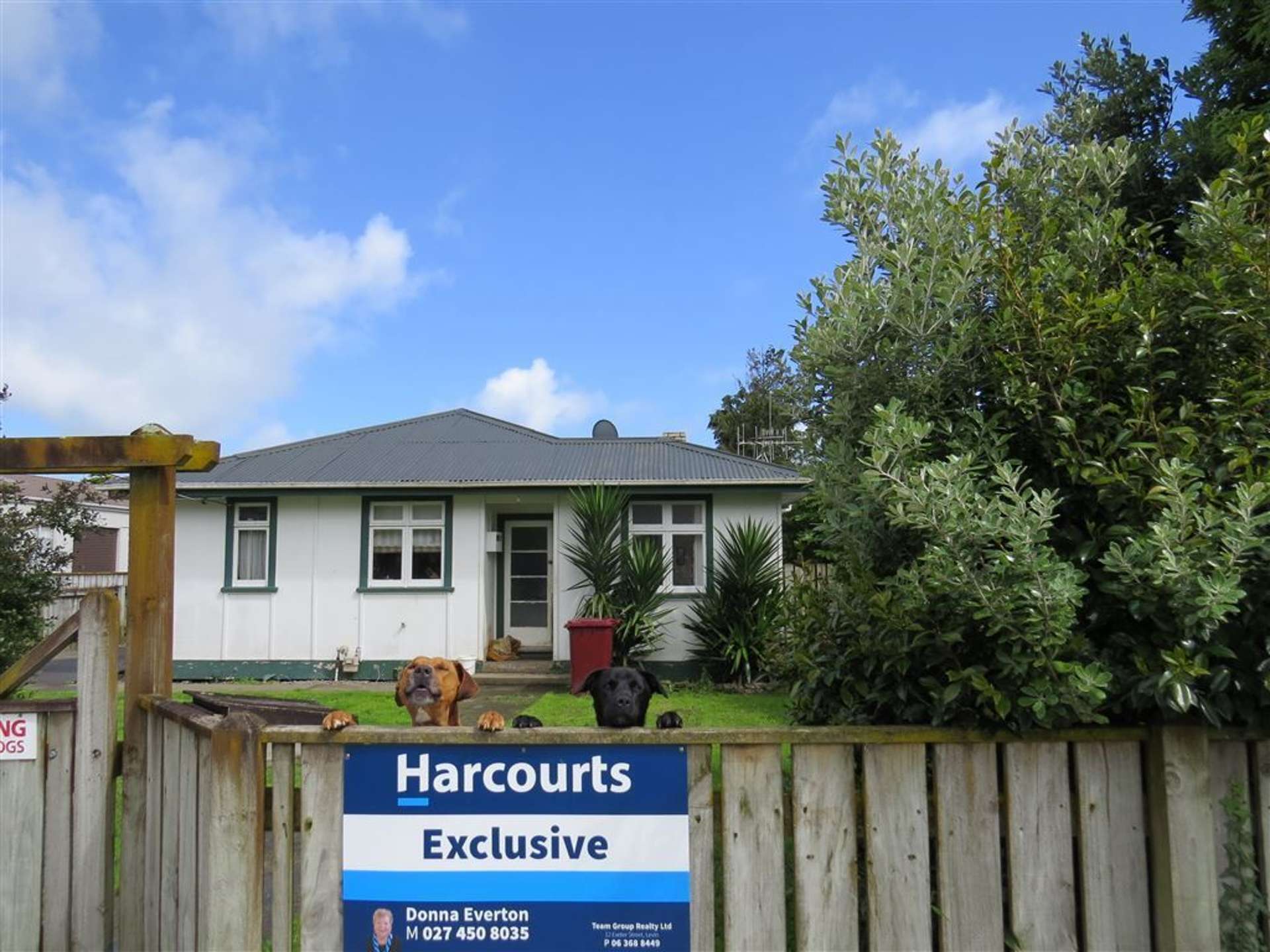 24 Mckenzie Street Levin_0