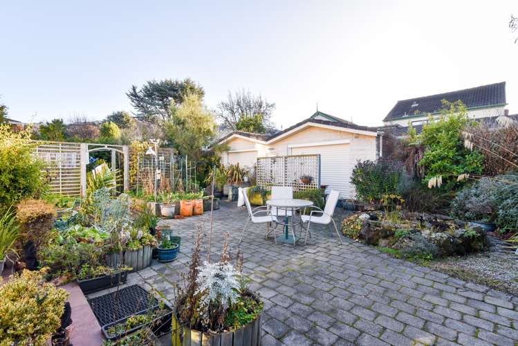 218 Forbury Road Saint Clair_9