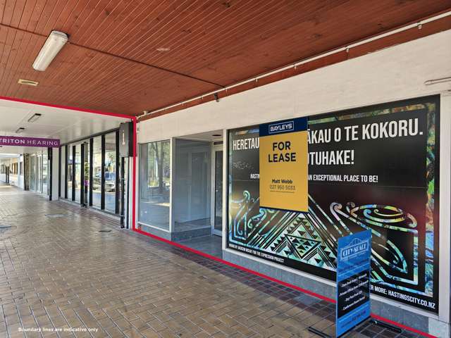 113 Heretaunga Street East Hastings_3