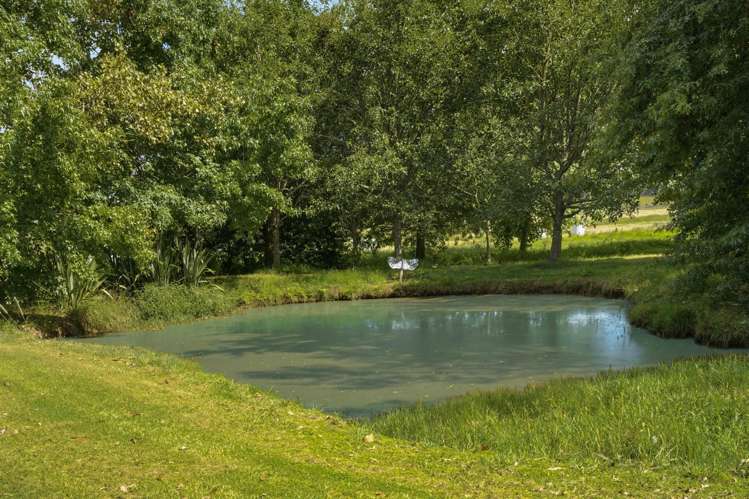 766 Clevedon Kawakawa Road Clevedon_27