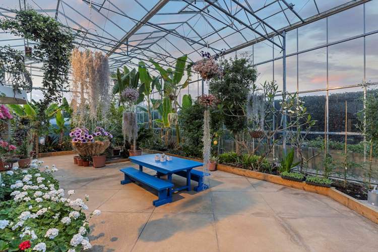 810 Upper Queen Street Pukekohe_23