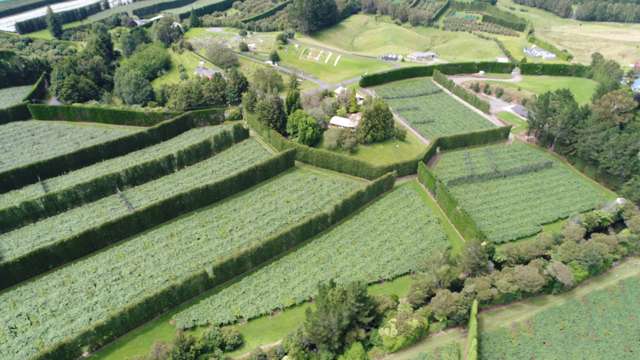 90 Hot Springs Road Katikati_3