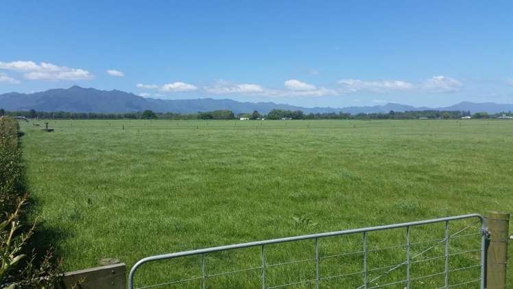 223 No 1 Road Waitoa_11