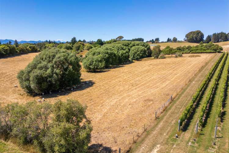 50 Cliff Road Tasman_15