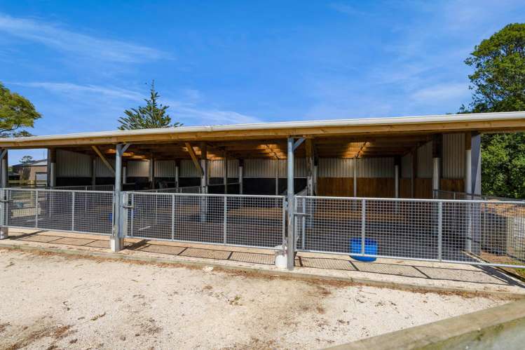 157 Norfolk Road Lower Norfolk_9