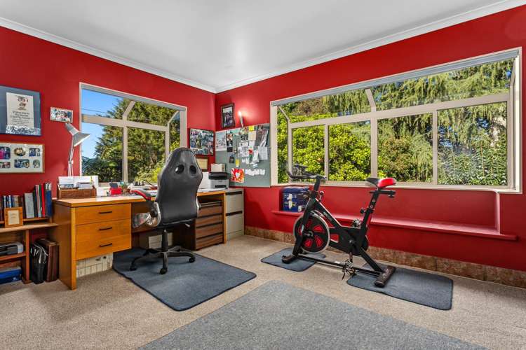 205 McCarthy Road Opotiki_17