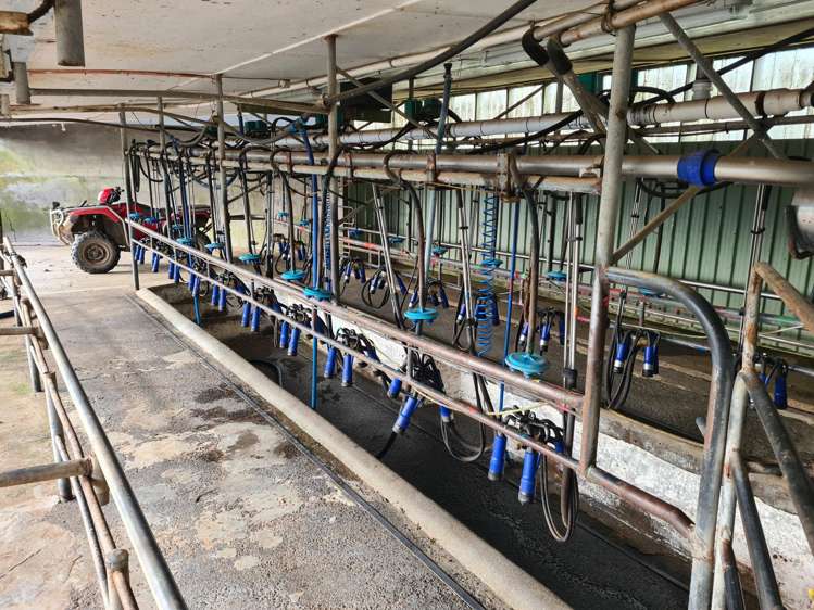 801 Mangorei Road Mangorei_6