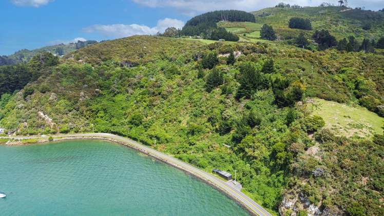 94 Aramoana Road Port Chalmers_3