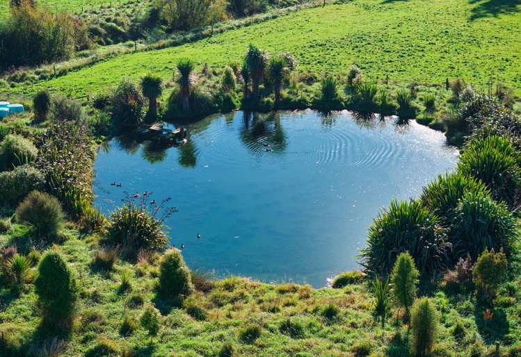 386 Mount Fyffe Road Kaikoura_33