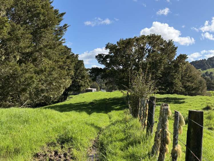 54 James Mckenzie Way Okaihau_25