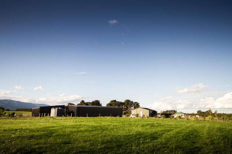 490 Maharahara Road Dannevirke_18