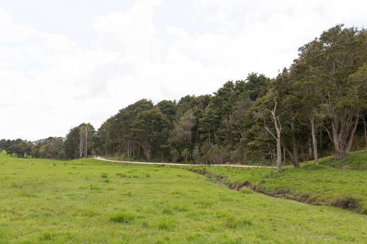 1108 Tokatoka Road Ruawai_22