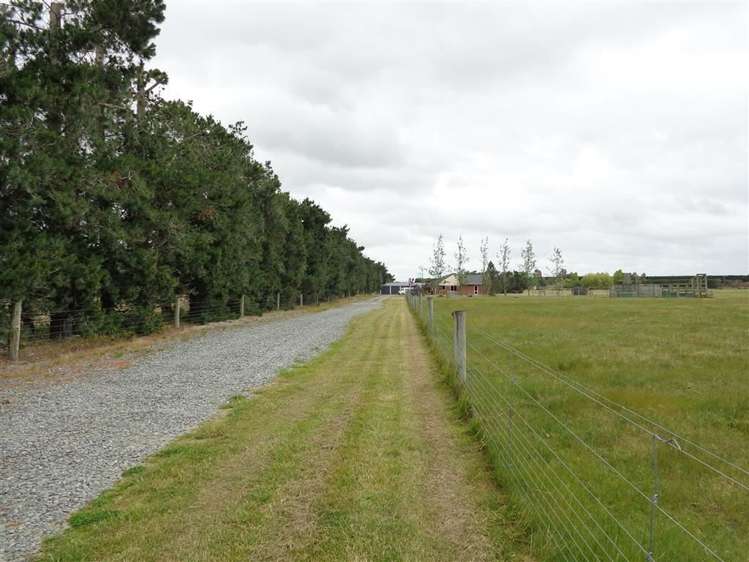 1245 Hoskyns Road Kirwee_22