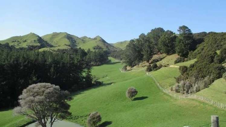 357 Summerhill Road Hinakura_17