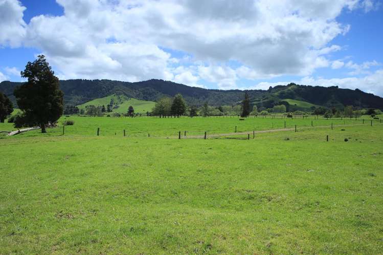 745 Storey Road Waiterimu_13