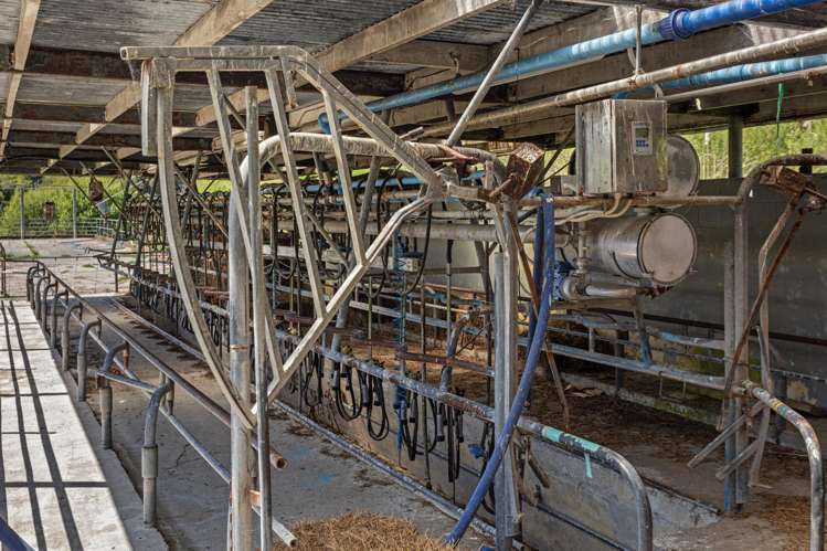 2338 State Highway 2 Opotiki_18