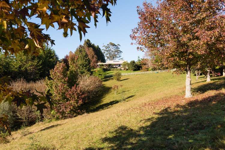 1608e State Highway 10 Kerikeri_2