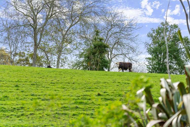 117 Dodd Road Morrinsville_24