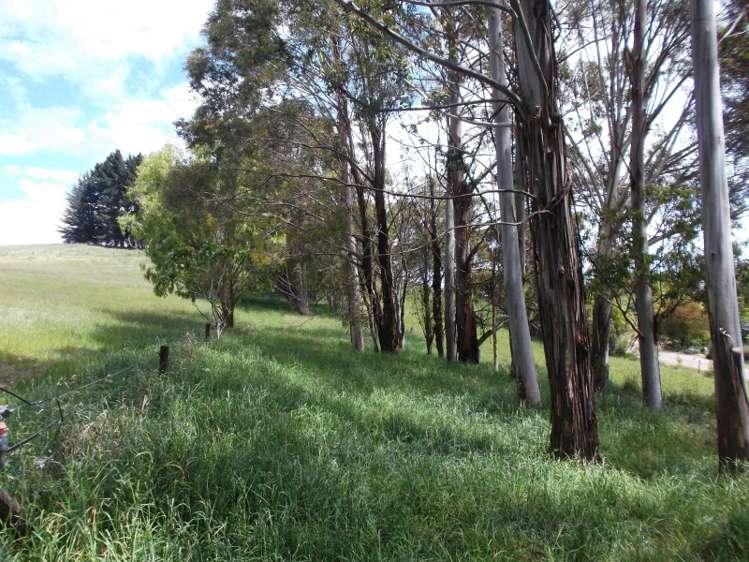 2 Homewood Road Waipawa_4