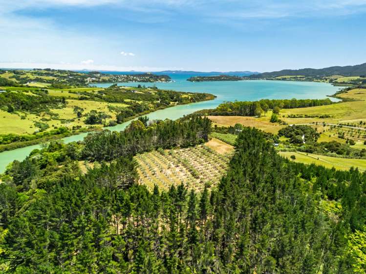 2884A State Highway 10 Mangonui_35