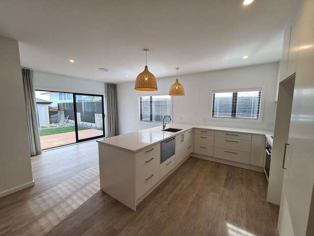 156B Te Awa Avenue Awatoto_3