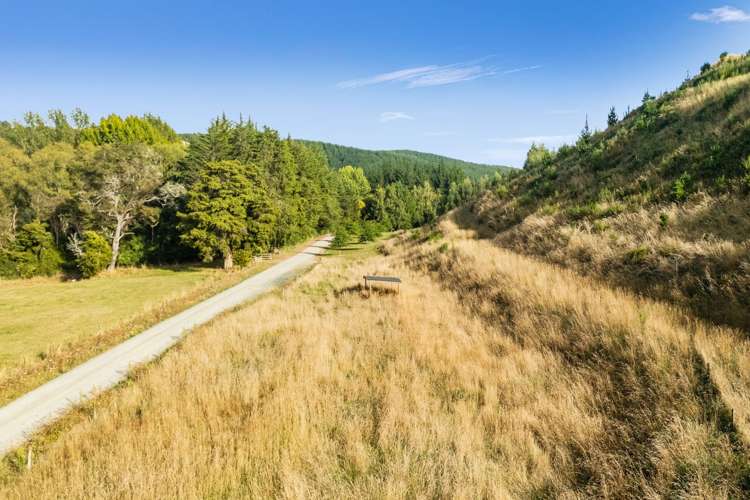 234 Teapot Valley Road Brightwater_5