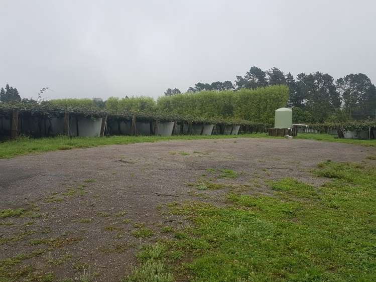 644 No 2 Road Te Puke_1