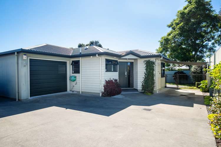 12a Elliott Street Taradale_15