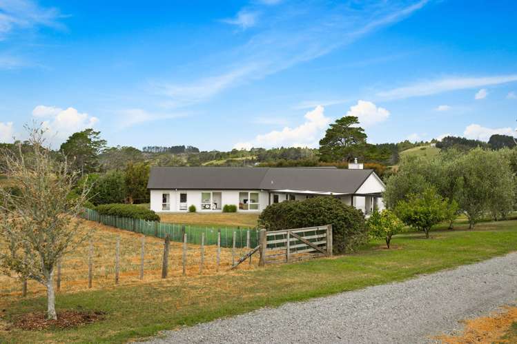 255 Austin Road Dairy Flat_32