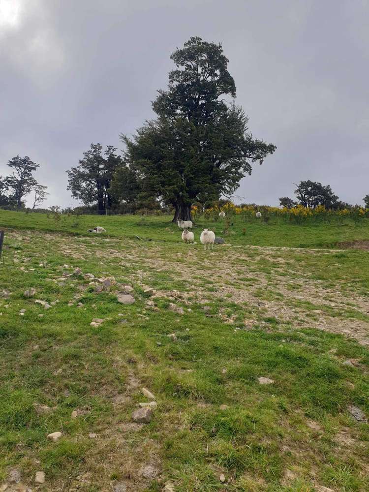 759 Bay Road Oxford_10