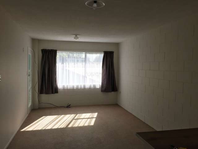 5/10 O'Neill Street Claudelands_4