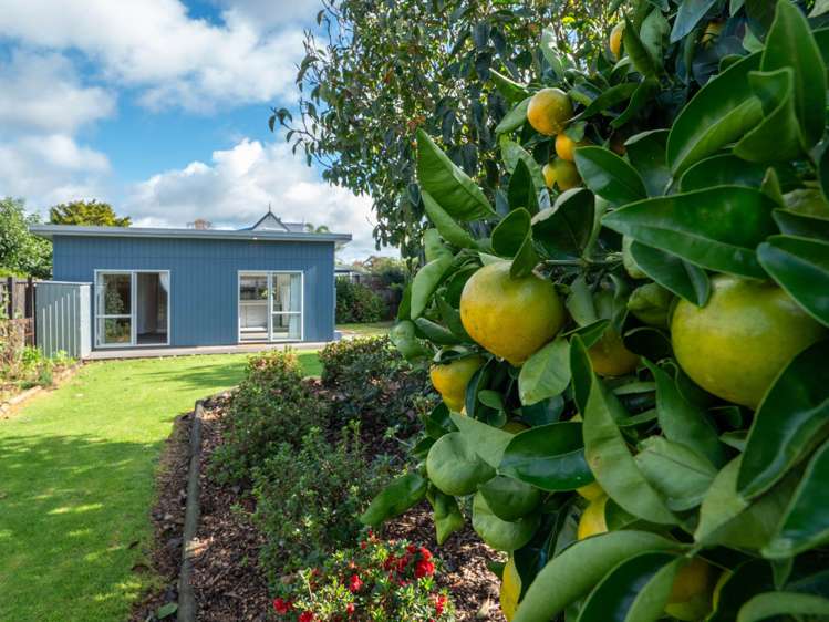 19C Riverview Road Kerikeri_22