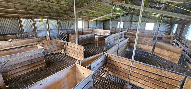 919 Miller Road Clinton and Surrounds_15