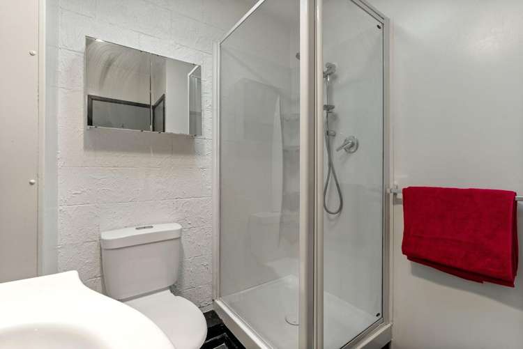 26B Ranelagh Street Karori_12