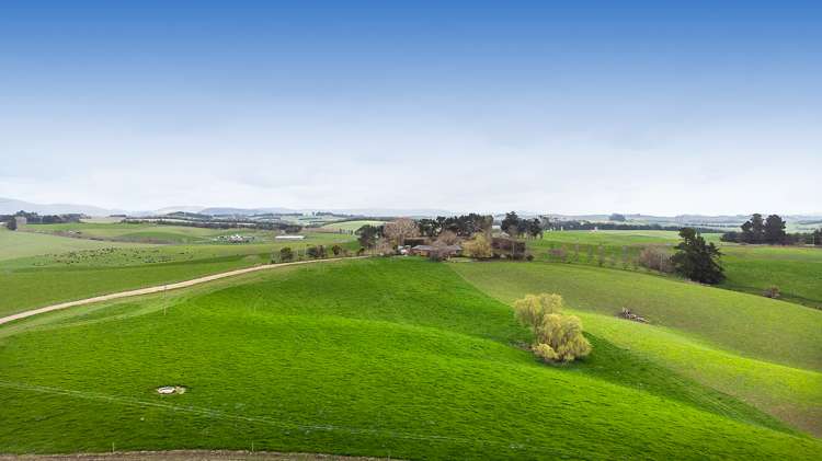 675 Black Bridge Road Clutha_22