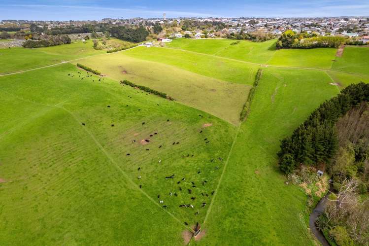 2A Ropata Street Hawera_24