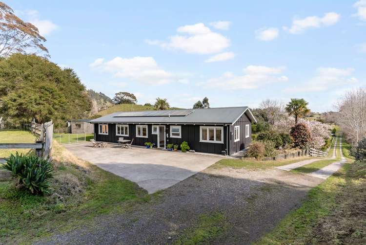 652e Welcome Bay Road Kaimai_19