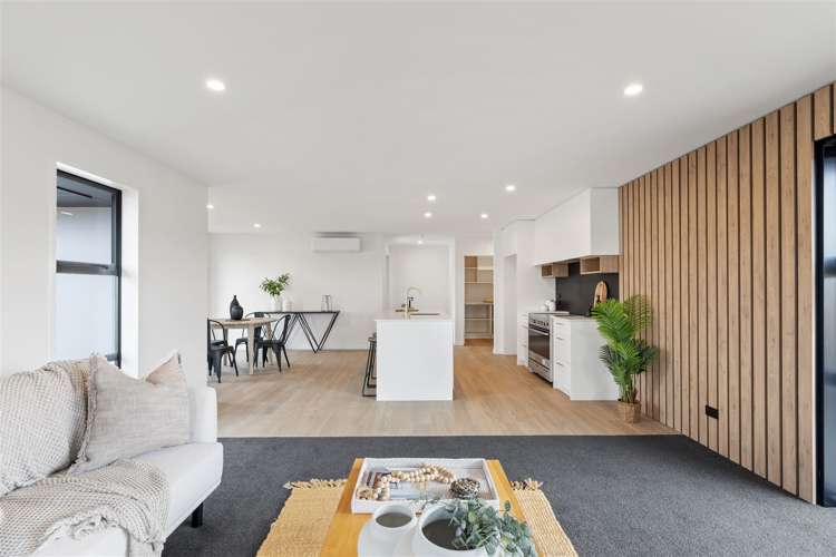 54 Ashbury Drive Tinwald_9