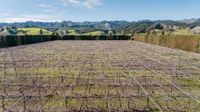 59 Macdonald Road Te Teko_1