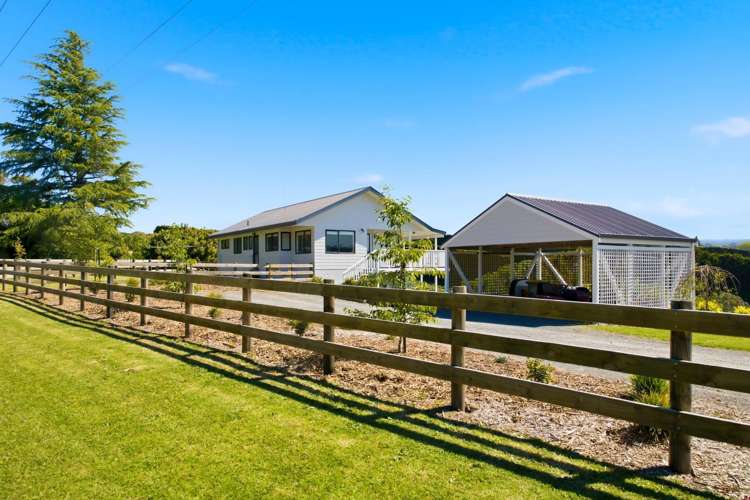 374 Youngson Road Whakamarama_20