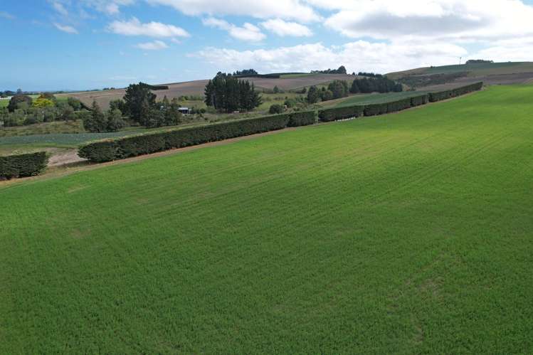 Lots 4 & 5, 253 Whiterocks Road, Weston Oamaru_4