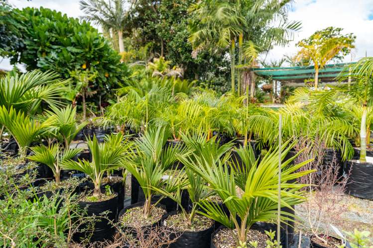 656 One Tree Point Road Ruakaka_12