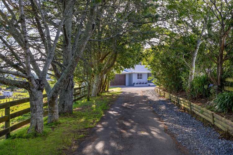 29 Mason Road Whatawhata_20