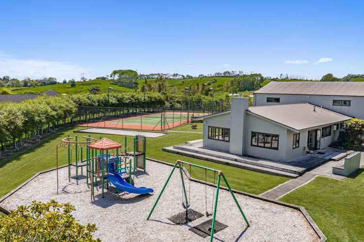 85 Goodland Drive Dairy Flat_40