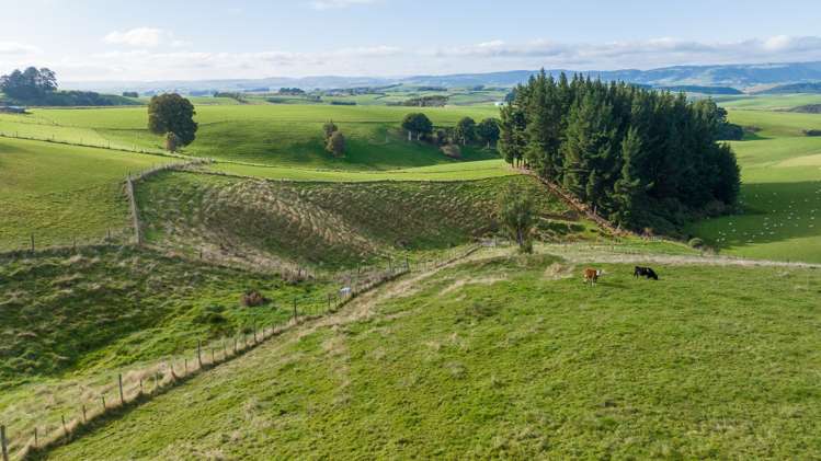 791 Wyndham Letterbox Road Wyndham Surrounds_23